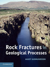 Rock Fractures in Geological Processes (eBook)